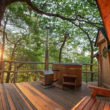 Chestnut Tree House With Hot Tub & Sauna Barmouth Exterior foto